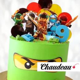 Торт Лего Ниндзя на 9 лет TLN90013407 фото и оформление торта