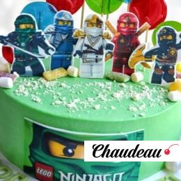 Торт Lego Ninjago TLN00013408 фото и оформление торта