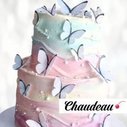 Торт бело-голубой с бабочками TBB0013496 фото и оформление торта