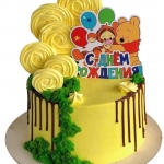 Торт с Винни Пухом с подтеками №1931