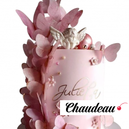 Торт с велосипедом и бабочками TVB0013583