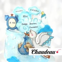 Торт аист и метрика ребенка TAMR013516 фото и оформление торта