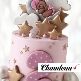 Торт медведь на луне TML00013517 фото и оформление торта