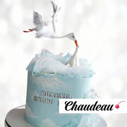 Торт с Аистом TA00013518 фото и оформление торта