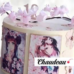 Торт Аниме на 12 лет TA1L0013542 фото и оформление торта