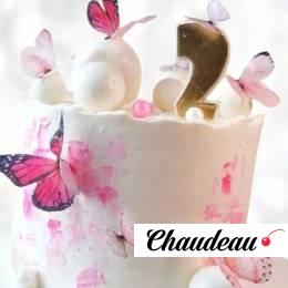 Торт бабочки на 2 года TB2G013551 фото и оформление торта