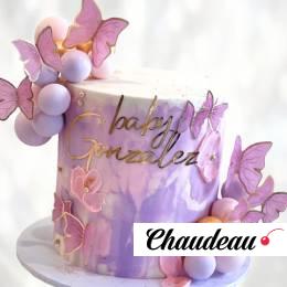 Торт с шарами и бабочками TSHB013555 фото и оформление торта