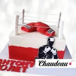 Торт боксерский ринг Everlast TBRE013572 фото и оформление торта