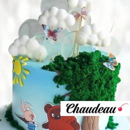 Торт Винни Пух и яркие леденцы TVPY013588 фото и оформление торта