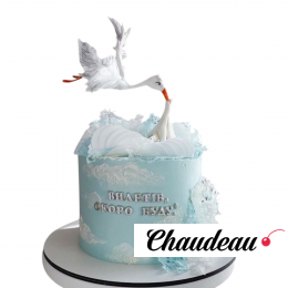 Торт с Аистом TA00013518