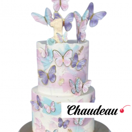 Торт На годик с кошечкой и бабочками TNGK013590 Торт На годик с кошечкой и бабочками TNGK013590