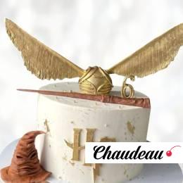 Торт палочка Гарри Поттера TPGP013601 фото и оформление торта