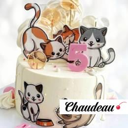 Торт с котиками на пять лет TKPL013609 фото и оформление торта