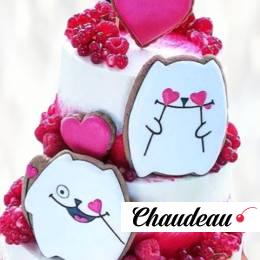 Торт с котами на пряниках TKP0013613 фото и оформление торта