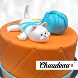 Торт котик с клубком TKK0013618 фото и оформление торта