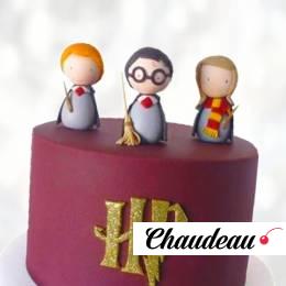 Торт мир Гарри Поттера TMGP013620 фото и оформление торта