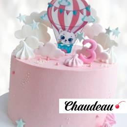 Торт кот-путешественник на шаре TKSH013621 фото и оформление торта