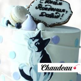 Торт день рождения с котом TDRK013625 фото и оформление торта