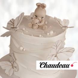 Торт бабочки на крестины TBK0013632 фото и оформление торта