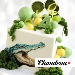 Торт крокодил на 4 года TK4G0013637 фото и оформление торта