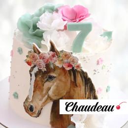 Торт голова лошади TGL00013642 фото и оформление торта