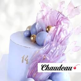 Торт бабочки и лепестки на 14 лет TBL1013645 фото и оформление торта