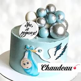 Торт аист принес ребенка TAPR013648 фото и оформление торта