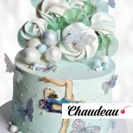 Торт маленькая балерина TMB00013667 фото и оформление торта