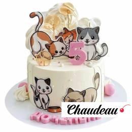 Торт с котами на 5 лет №2868