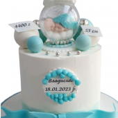 Детский торт с метрикой TMKM013726