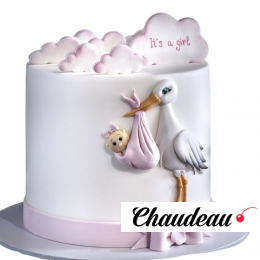 Торт С днем рождения дочки TSDR013758 Торт С днем рождения дочки TSDR013758