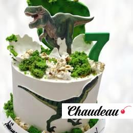 Торт парк динозавров с украшениями TPDU013715 фото и оформление торта