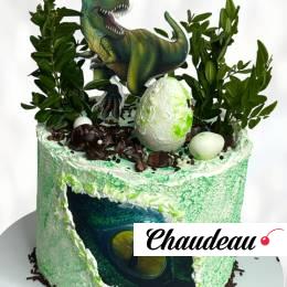 Торт динозавры и шоколадный декор TDSH0013718 фото и оформление торта