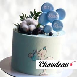 Торт бело-голубая метрика TBM0013719 фото и оформление торта