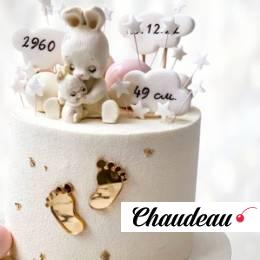 Торт метрика и зайка на 1 год девочке TMZ1013721 фото и оформление торта