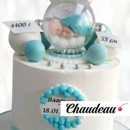 Торт детская метрика с данными TDMD013726 фото и оформление торта