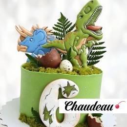 Торт динозавры на шесть лет TDSH013744 фото и оформление торта