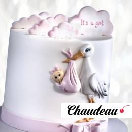 Торт с днем рождения доченьки TDRD013758 фото и оформление торта