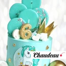 Торт единорог девочке на 6 лет TED60013767 фото и оформление торта