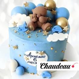 Торт медвежонок в созвездиях и облаках TMSO013770 фото и оформление торта
