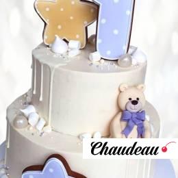 Торт пряничный медведь и звезды TPMZ013779 фото и оформление торта