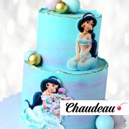 Торт принцесса Жасмин TPZH013786 фото и оформление торта