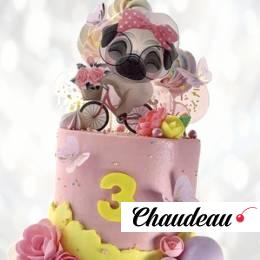 Торт пес мопс на велосипеде TPMV013789 фото и оформление торта