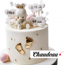 Торт с метрикой и зайкой для девочки на годик TMZD013721 Торт с метрикой и зайкой для девочки на годик TMZD013721