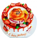 Торт с фотопечатью собаки №1671