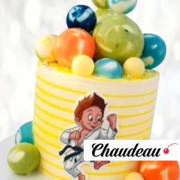 Торт мастер карате TMK0013819 фото и оформление торта