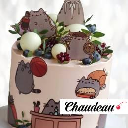 Торт с картинками котят TKK0013825 фото и оформление торта