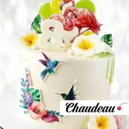 Торт птичка колибри TPK0013842 фото и оформление торта