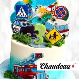 Торт служба спасения TSS0013880 фото и оформление торта