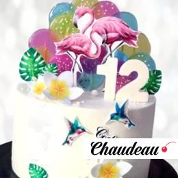 Торт Фламинго TF00013885 фото и оформление торта